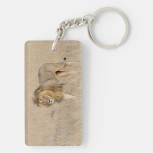 Llavero Caminata de leones