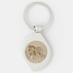 Llavero Caminata de leones
