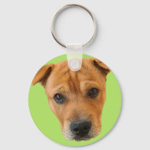 Camisas de los Baileybobs