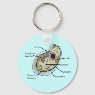 Llavero Camisetas de biología de células humanas