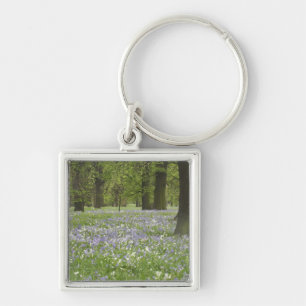 Llavero Campanillas y Robles en Primavera, Little Hagley
