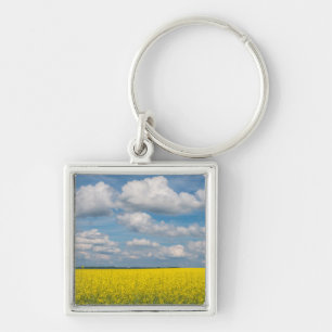 Llavero Campo de Canola y Nubes