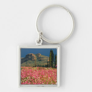 Llavero Campo de flores de Cosmos, Distrito de Fouriesburg
