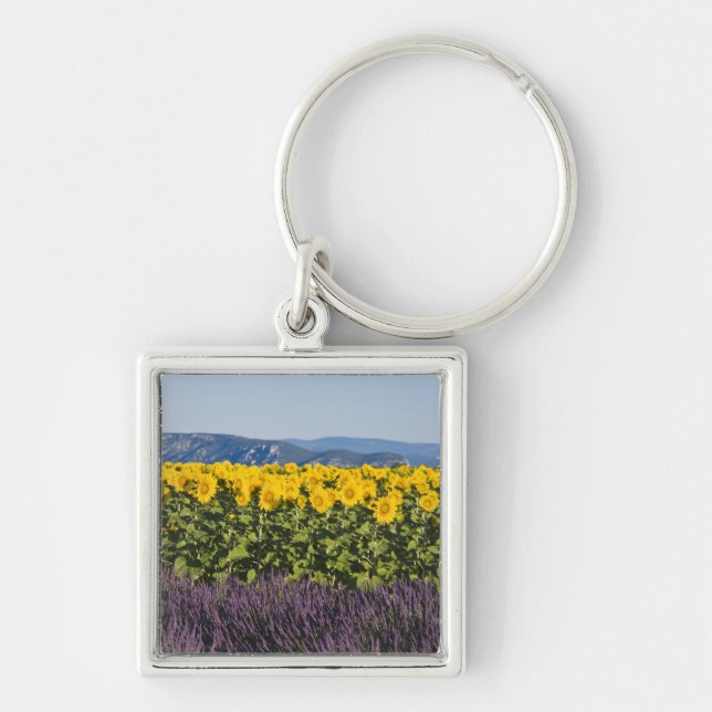 Llavero Campo de girasoles y flores de lavanda, (Frente)