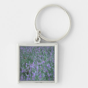 Llavero Campo de la lavanda
