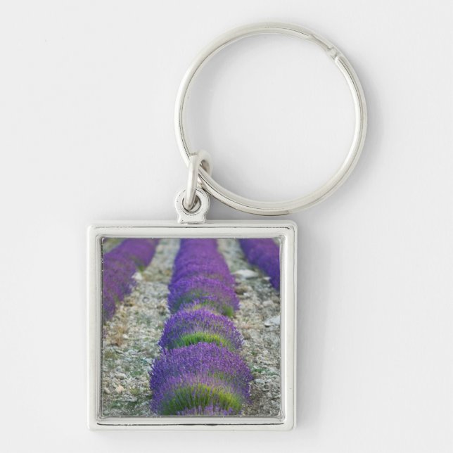 Llavero Campo de lavanda, Provenza, Francia (Frente)
