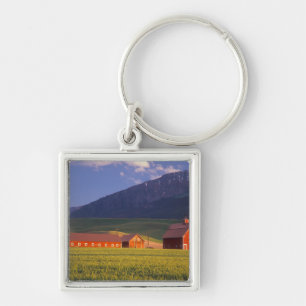 Llavero Campo de trigo en el valle de Wallowa, justo afuer