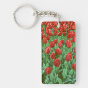 Llavero Campo de tulipanes florece en primavera.