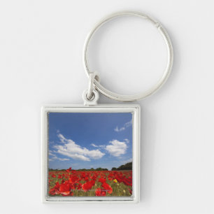 Llavero Campo por completo de flores rojas
