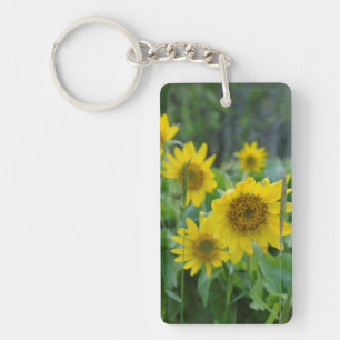 Llavero Canadá, Columbia Británica, Isla de Vancouver 5