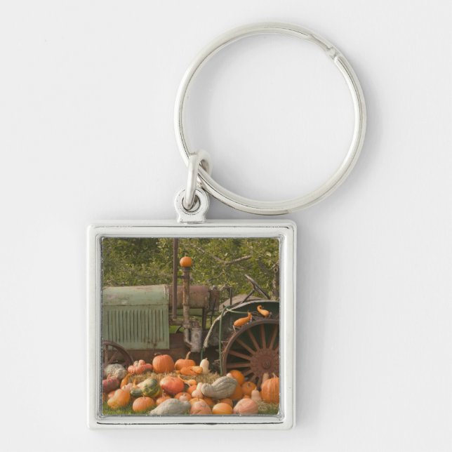 Llavero CANADÁ, Columbia Británica, Keremeos. Otoño / 2 (Frente)