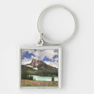 Llavero Canadá, Columbia Británica, Parque Nacional Yoho