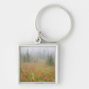 Llavero Canadá, Columbia Británica, Revelstoke National