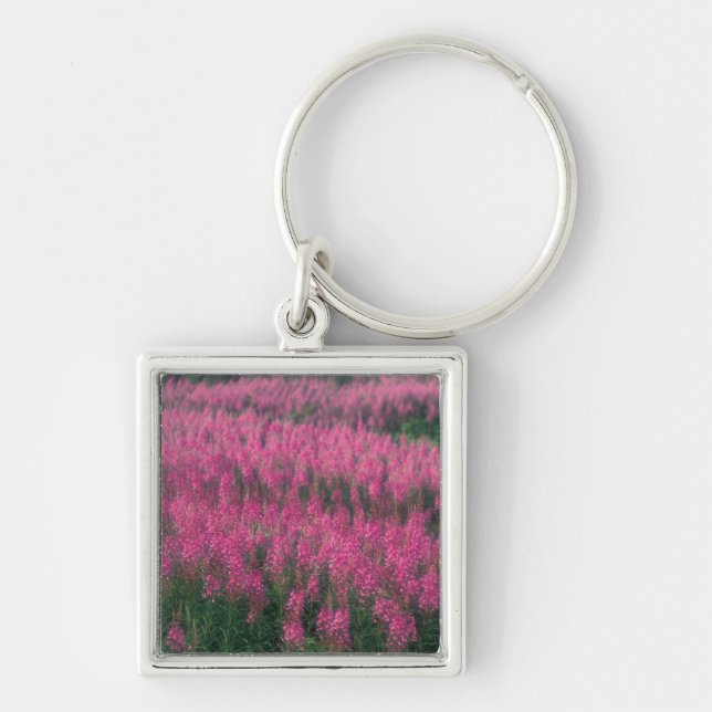Llavero Canadá, Quebec, Gaspe. Flores púrpuras de Lythrum, (Frente)