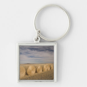 Llavero Canadá, Saskatchewan, Craik: Rodillos de heno / Ot
