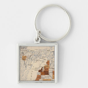 Llavero Cáncer, tumor Michigan