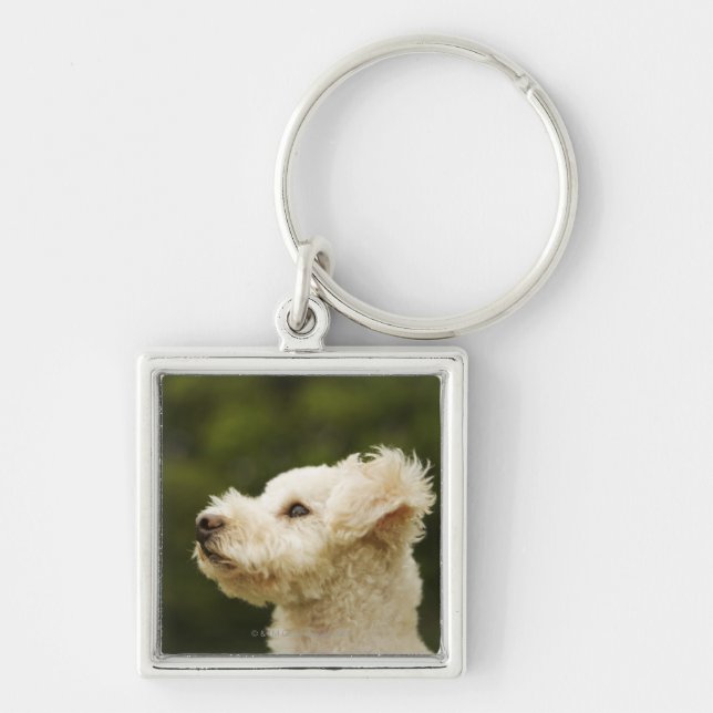 Llavero Caniche 2 (blancos) (Frente)