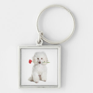 Llavero Caniche con cadena premium de clavel