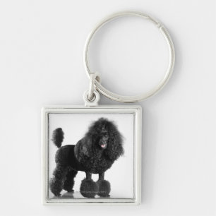 Llavero Caniche negro arreglado