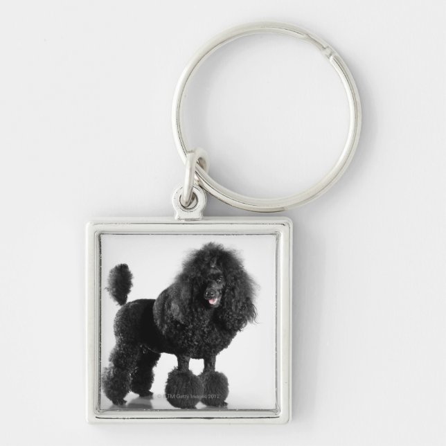 Llavero Caniche negro arreglado (Frente)