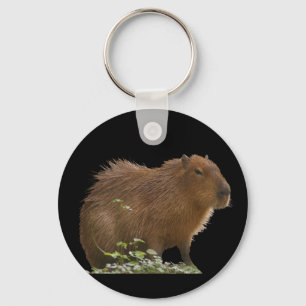 Llavero Capibara