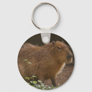 Llavero Capibara