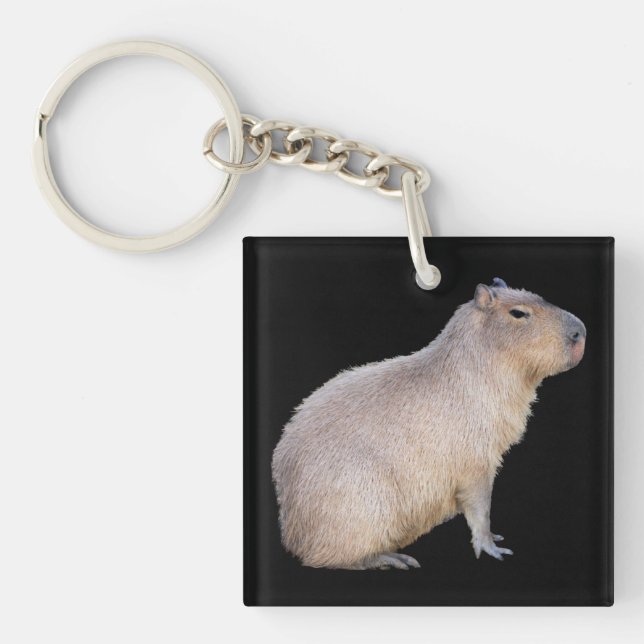 Llavero Capibara (Frente)