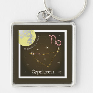 Llavero Capricornio 22 dic. fin 20 enero Llave colgante