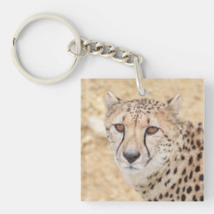 Llavero Cara de lo salvaje: La mirada intensa de Cheetah