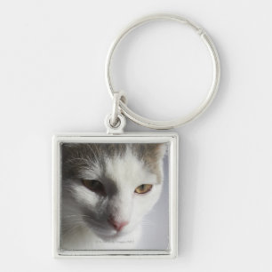 Llavero Cara de un gato