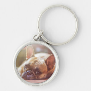 Llavero Cara linda del bulldog francés, acostándose