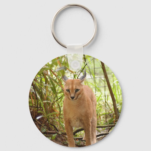 Llavero Caracal Lynx Keychain (Anverso)