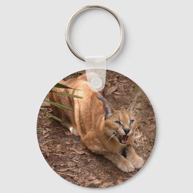 Llavero Caracal Lynx Keychain (Anverso)