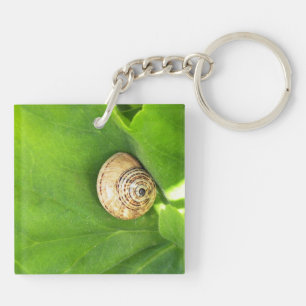 Llavero Caracol