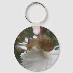 Llavero Caracol de jardín y cadena blanca