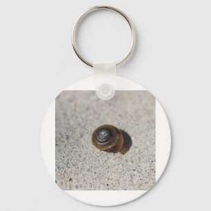 Llavero Caracol perezoso