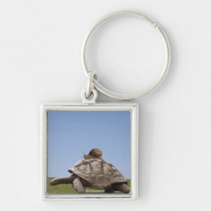 Llavero Caracol sobre una tortuga