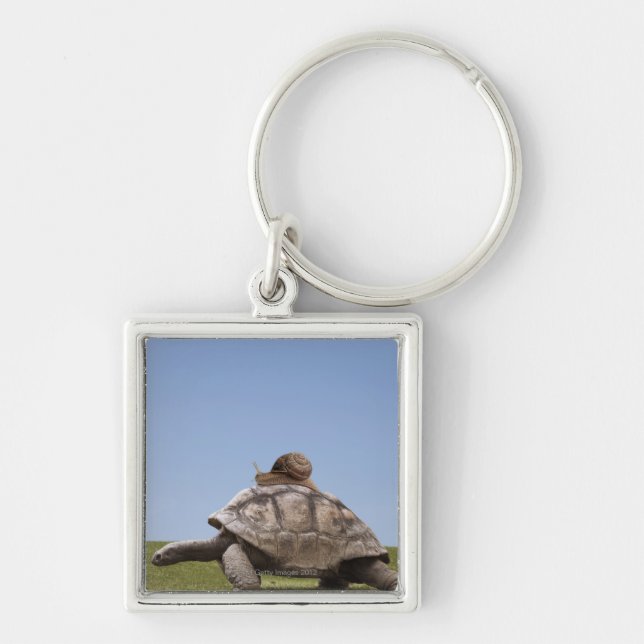 Llavero Caracol sobre una tortuga (Frente)