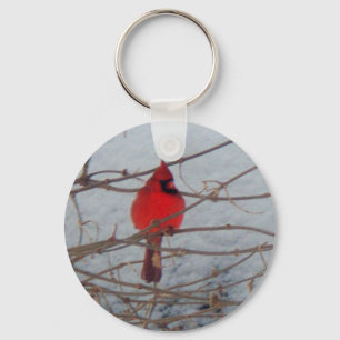 Llavero Cardenal de sexo masculino