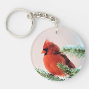 Llavero Cardenal en árbol de la nieve desechada