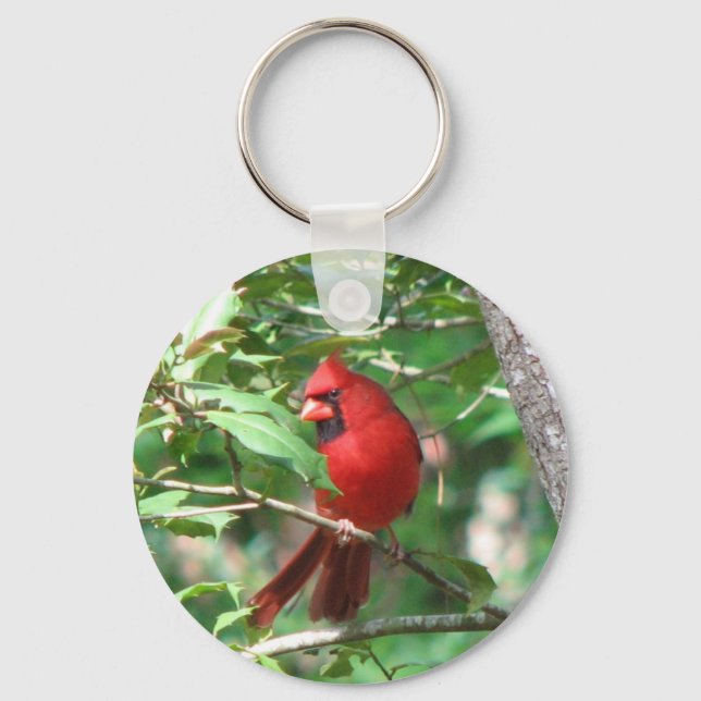 Llavero Cardenal en Holly (Anverso)