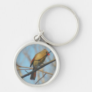 Llavero Cardenal/pájaro femenino