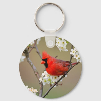 Llavero Cardenal rojo