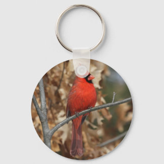 Llavero Cardenal rojo