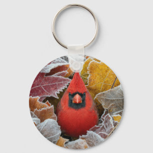 Llavero Cardenal Rojo en Hojas de Otoño Heladas