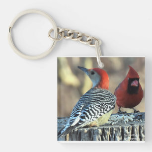 Llavero Cardenal rojo vientre con cardenal rojo