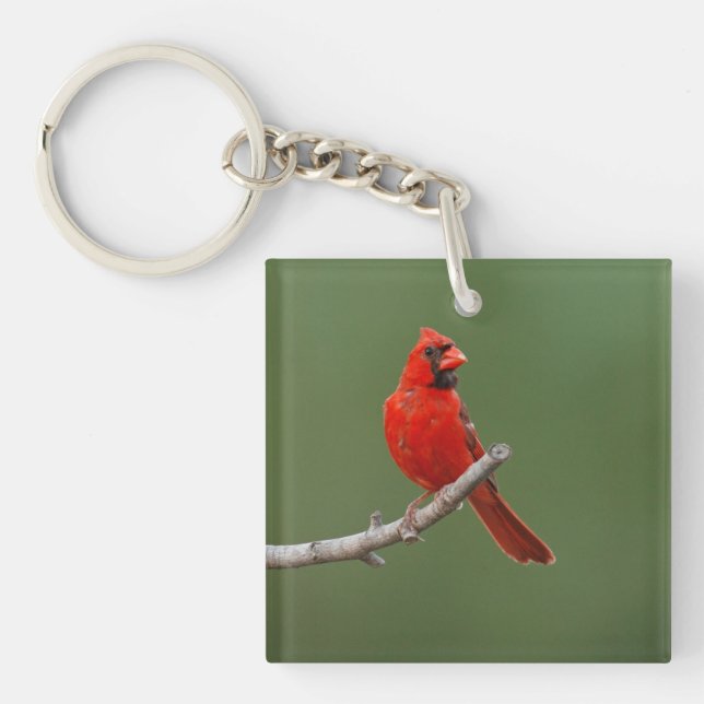 Llavero Cardenal septentrional (Frente)