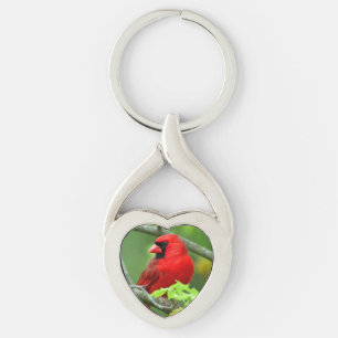 Llavero cardenales del norte