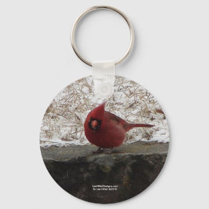 Llavero Cardinal Hot Springs Parque Nat. Mt AR Regalos Rop
