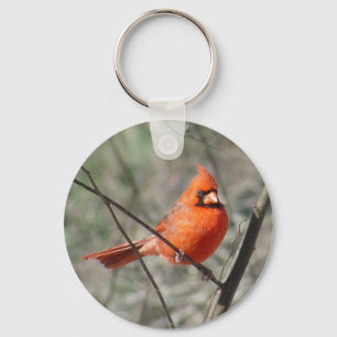 Llavero cardinal septentrional del pájaro